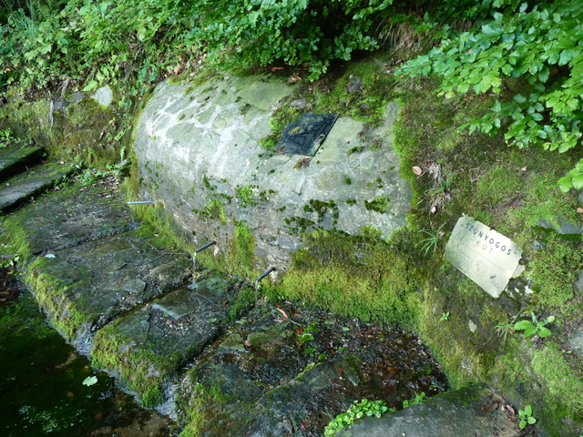 A képhez tartozó alt jellemző üres; 20241018_101325.jpg a fájlnév