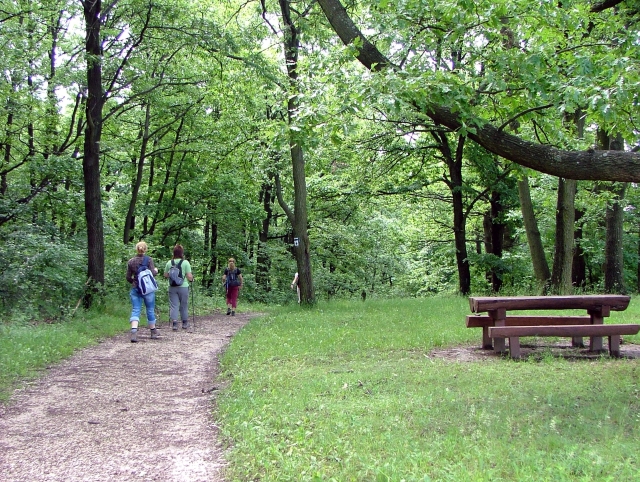 A képhez tartozó alt jellemző üres; 20241018_101325.jpg a fájlnév