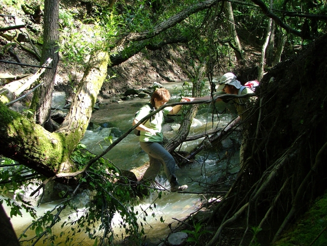 A képhez tartozó alt jellemző üres; 20241018_101325.jpg a fájlnév