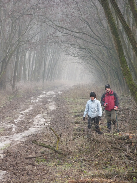 A képhez tartozó alt jellemző üres; 20241018_101325.jpg a fájlnév