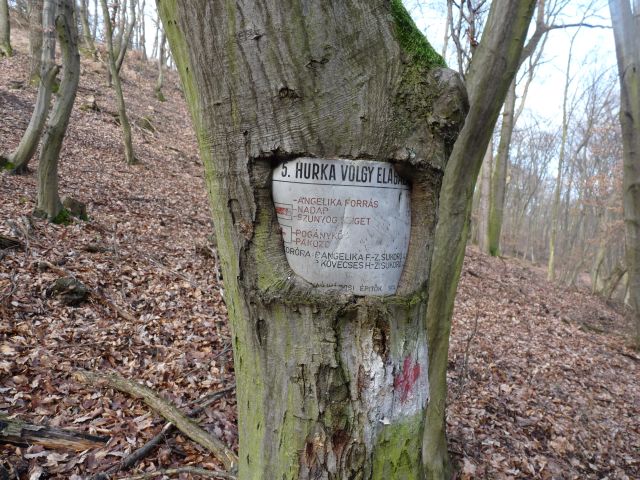 A képhez tartozó alt jellemző üres; 20241018_101325.jpg a fájlnév