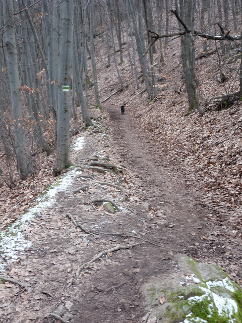 A képhez tartozó alt jellemző üres; 20241018_101325.jpg a fájlnév