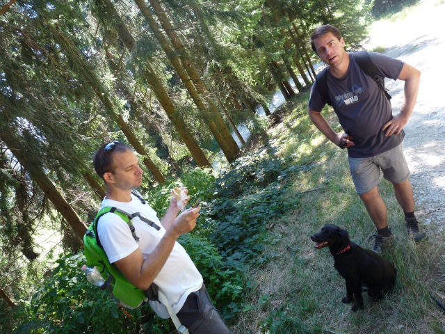 A képhez tartozó alt jellemző üres; 20241018_101325.jpg a fájlnév