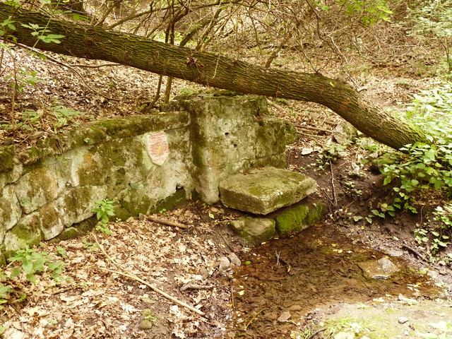 A képhez tartozó alt jellemző üres; 20241018_101325.jpg a fájlnév