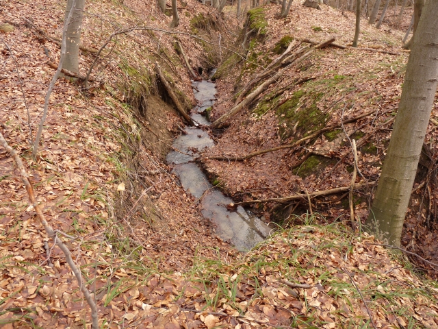 A képhez tartozó alt jellemző üres; 20241018_101325.jpg a fájlnév