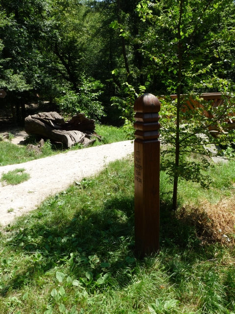 A képhez tartozó alt jellemző üres; 20241018_101325.jpg a fájlnév