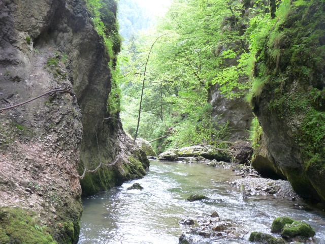 A képhez tartozó alt jellemző üres; 20241018_101325.jpg a fájlnév