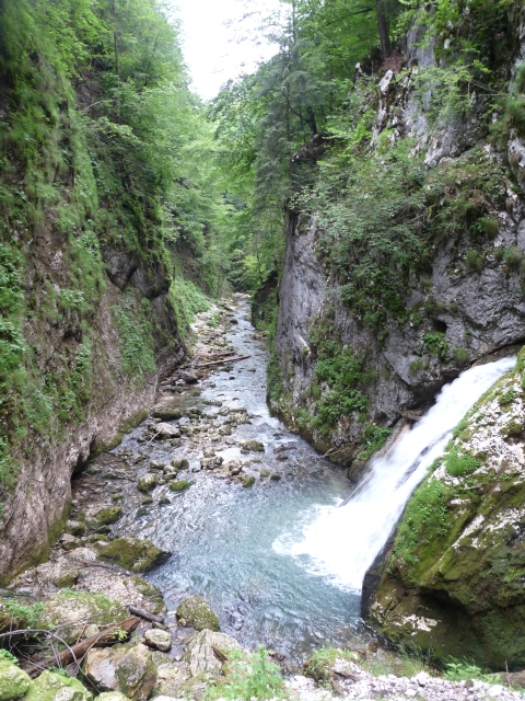 A képhez tartozó alt jellemző üres; 20241018_101325.jpg a fájlnév