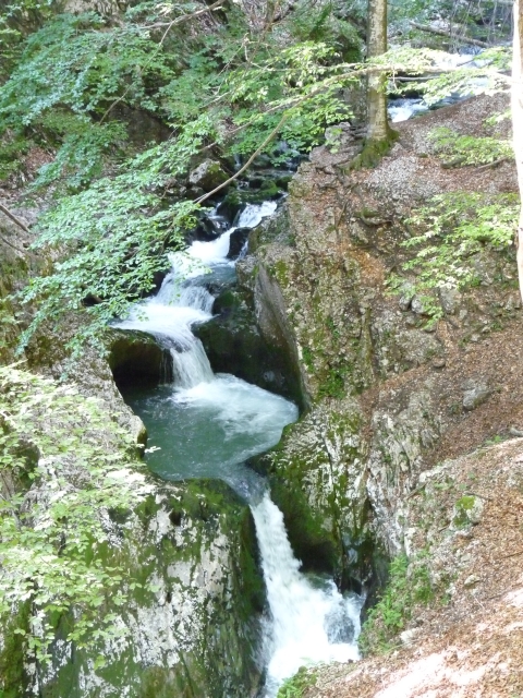 A képhez tartozó alt jellemző üres; 20241018_101325.jpg a fájlnév