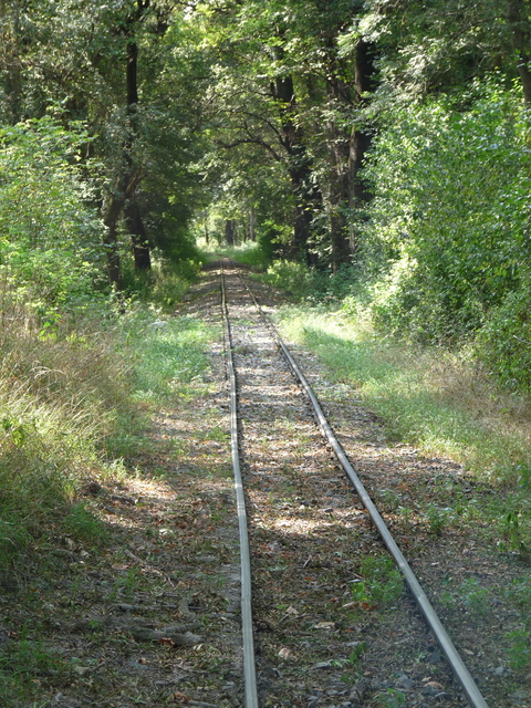 A képhez tartozó alt jellemző üres; 20241018_101325.jpg a fájlnév