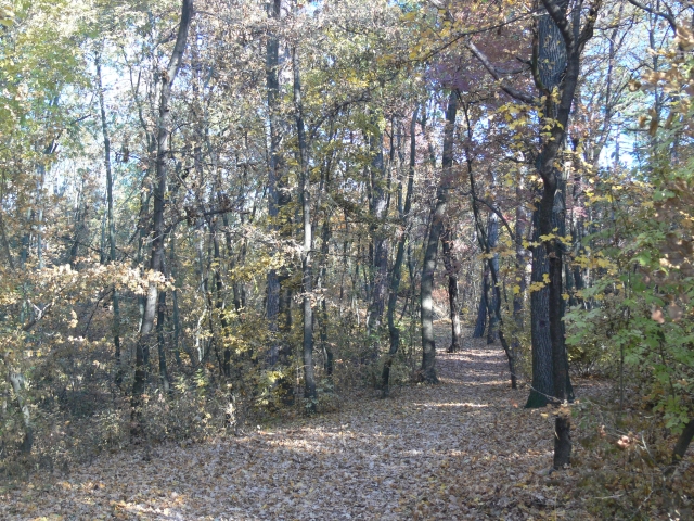 A képhez tartozó alt jellemző üres; 20241018_101325.jpg a fájlnév