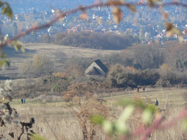 A képhez tartozó alt jellemző üres; 20241018_101325.jpg a fájlnév