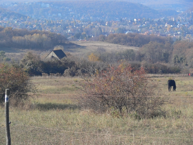 A képhez tartozó alt jellemző üres; 20241018_101325.jpg a fájlnév