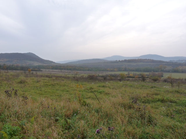 A képhez tartozó alt jellemző üres; 20241018_101325.jpg a fájlnév