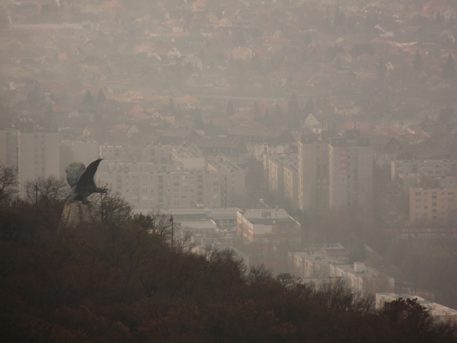 A képhez tartozó alt jellemző üres; 20241018_101325.jpg a fájlnév