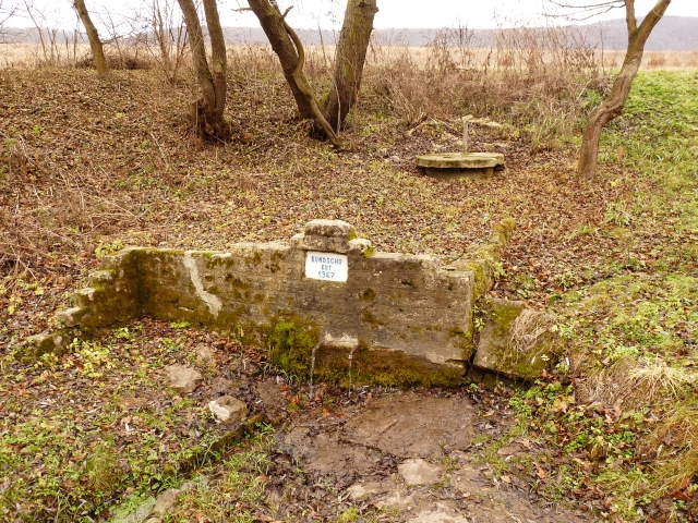 A képhez tartozó alt jellemző üres; 20241018_101325.jpg a fájlnév