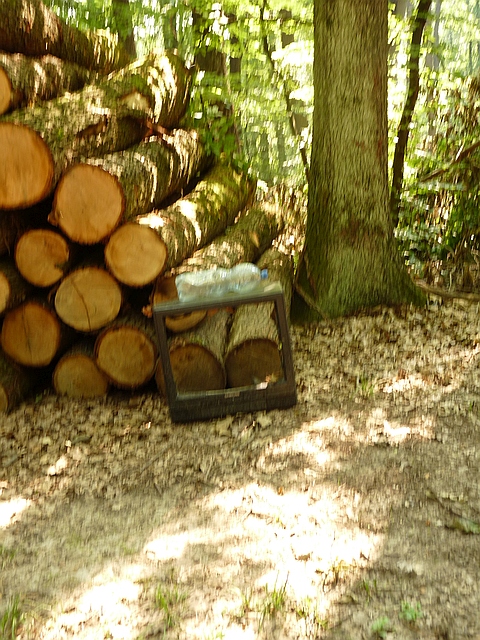 A képhez tartozó alt jellemző üres; 20241018_101325.jpg a fájlnév
