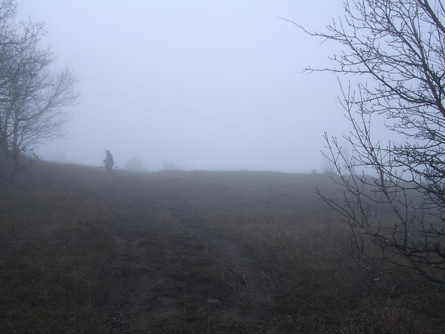 A képhez tartozó alt jellemző üres; 20241018_101325.jpg a fájlnév