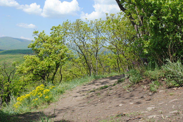 A képhez tartozó alt jellemző üres; 20241018_101325.jpg a fájlnév