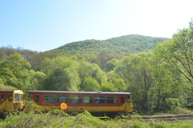 A képhez tartozó alt jellemző üres; 20241018_101325.jpg a fájlnév