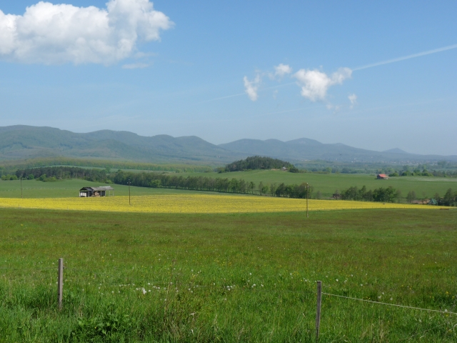 A képhez tartozó alt jellemző üres; 20241018_101325.jpg a fájlnév