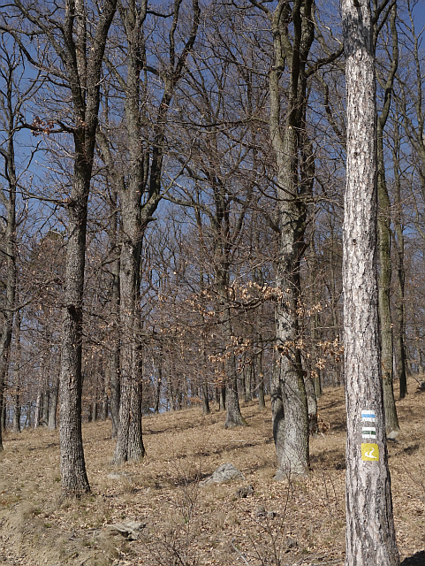 A képhez tartozó alt jellemző üres; 20241018_101325.jpg a fájlnév
