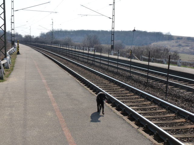 A képhez tartozó alt jellemző üres; 20241018_101325.jpg a fájlnév