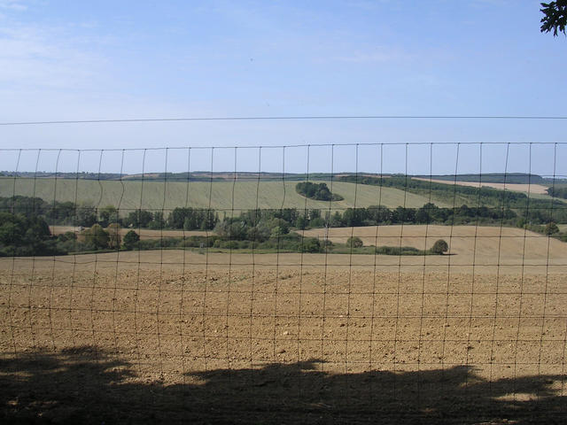 A képhez tartozó alt jellemző üres; 20241018_101325.jpg a fájlnév