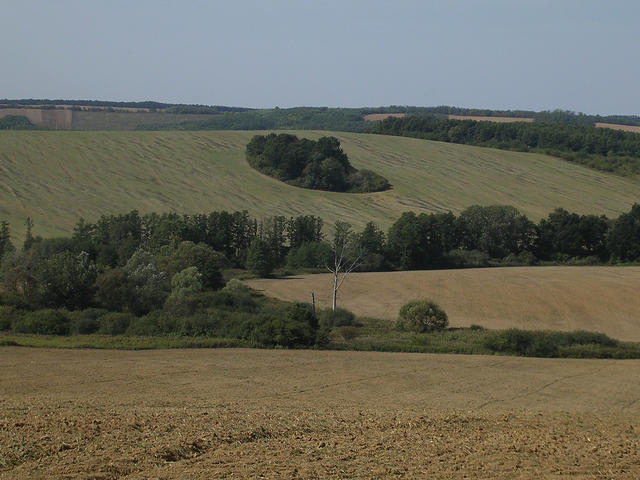 A képhez tartozó alt jellemző üres; 20241018_101325.jpg a fájlnév