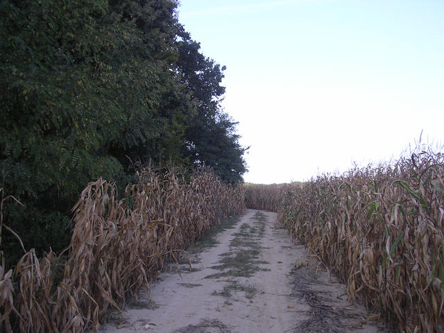 A képhez tartozó alt jellemző üres; 20241018_101325.jpg a fájlnév