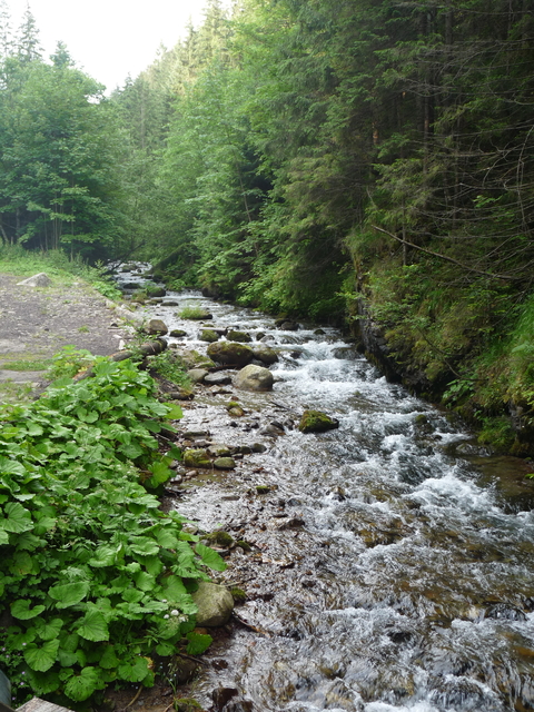 A képhez tartozó alt jellemző üres; 20241018_101325.jpg a fájlnév
