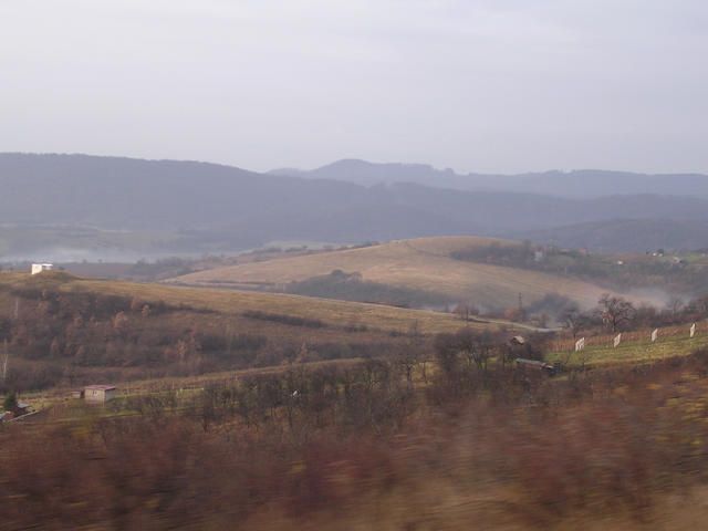 A képhez tartozó alt jellemző üres; 20241018_101325.jpg a fájlnév