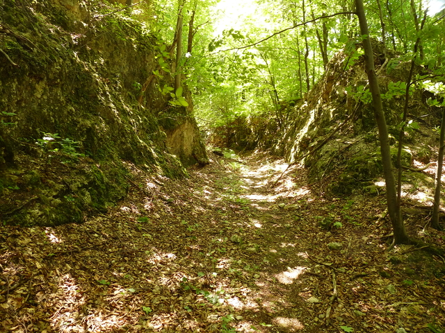 A képhez tartozó alt jellemző üres; 20241018_101325.jpg a fájlnév