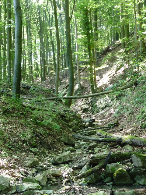 A képhez tartozó alt jellemző üres; 20241018_101325.jpg a fájlnév