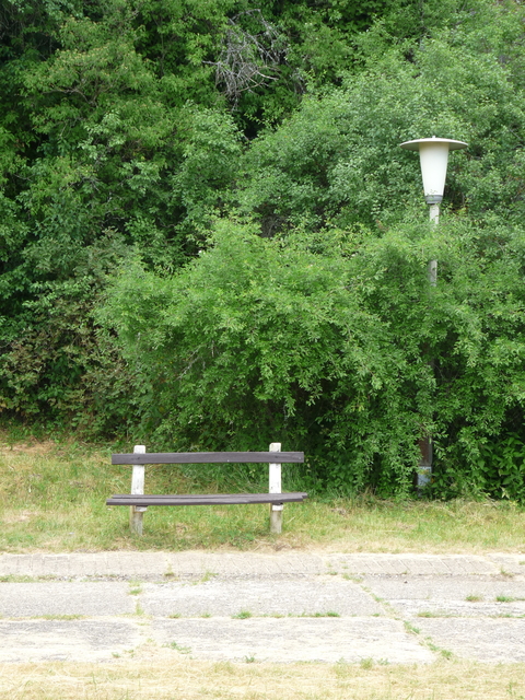A képhez tartozó alt jellemző üres; 20241018_101325.jpg a fájlnév
