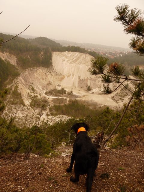 A képhez tartozó alt jellemző üres; 20241018_101325.jpg a fájlnév
