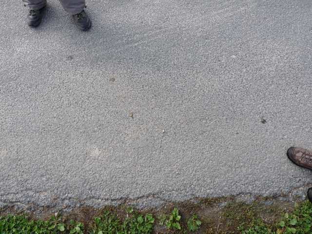 A képhez tartozó alt jellemző üres; 20241018_101325.jpg a fájlnév