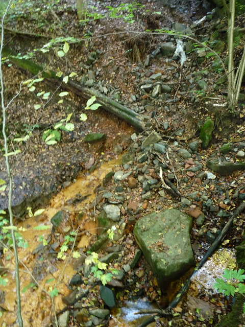 A képhez tartozó alt jellemző üres; 20241018_101325.jpg a fájlnév