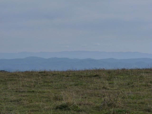 A képhez tartozó alt jellemző üres; 20241018_101325.jpg a fájlnév