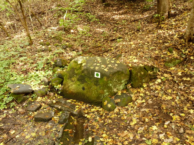 A képhez tartozó alt jellemző üres; 20241018_101325.jpg a fájlnév