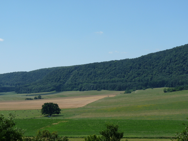 A képhez tartozó alt jellemző üres; 20241018_101325.jpg a fájlnév