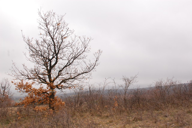 A képhez tartozó alt jellemző üres; 20241018_101325.jpg a fájlnév