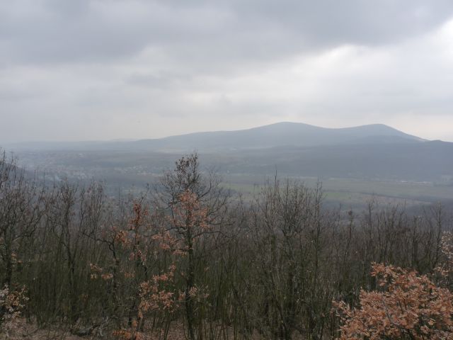 A képhez tartozó alt jellemző üres; 20241018_101325.jpg a fájlnév