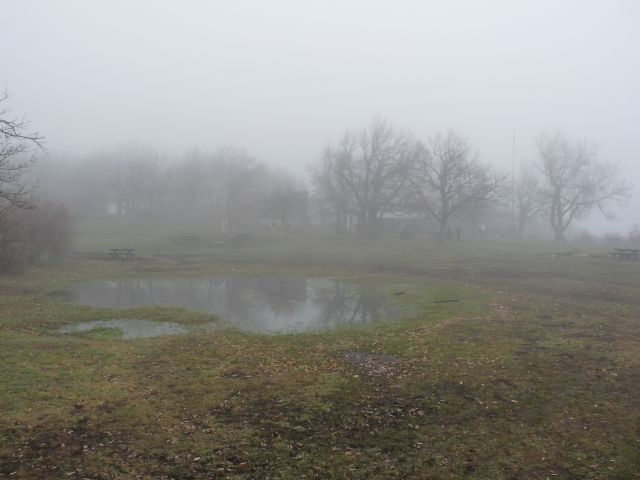 A képhez tartozó alt jellemző üres; 20241018_101325.jpg a fájlnév