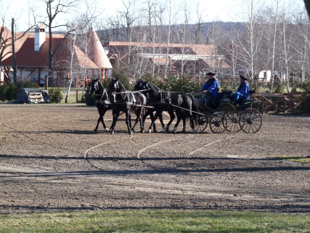 A képhez tartozó alt jellemző üres; 20241018_101325.jpg a fájlnév