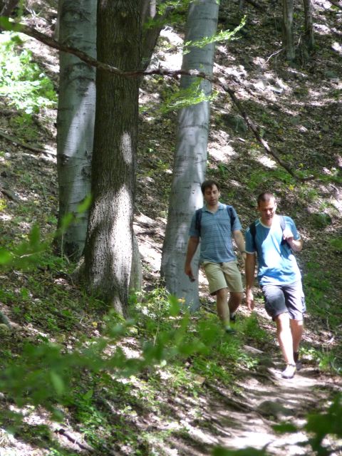 A képhez tartozó alt jellemző üres; 20241018_101325.jpg a fájlnév