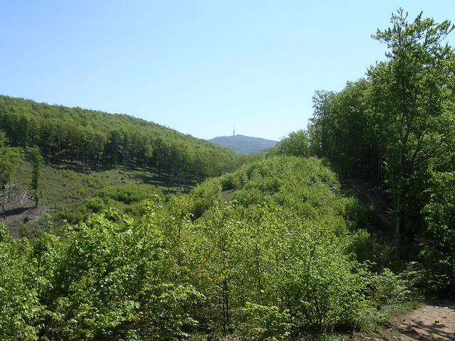 A képhez tartozó alt jellemző üres; 20241018_101325.jpg a fájlnév