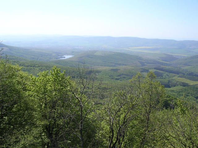 A képhez tartozó alt jellemző üres; 20241018_101325.jpg a fájlnév