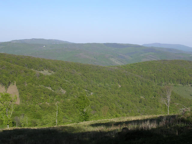 A képhez tartozó alt jellemző üres; 20241018_101325.jpg a fájlnév