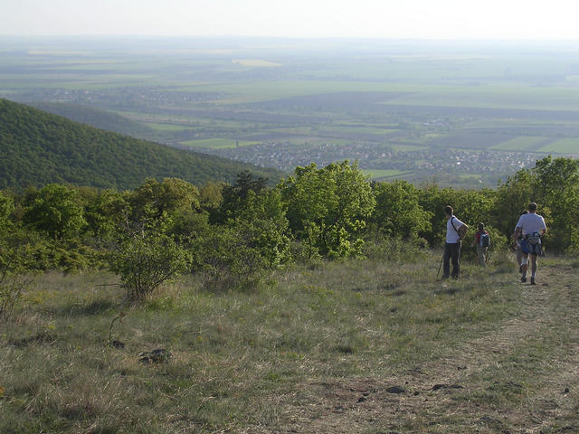 A képhez tartozó alt jellemző üres; 20241018_101325.jpg a fájlnév